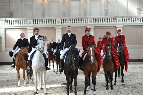 de hollandsche manege hermes|paarden manege nederland.